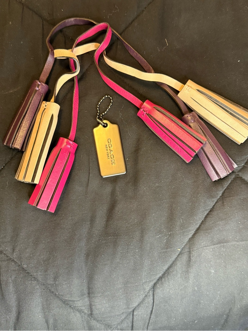 Coach Tassels & Metal Hangtag Accessory Bundle